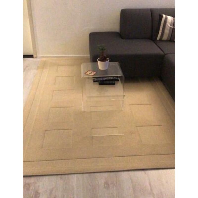 Mooi beige tapijt 160x230