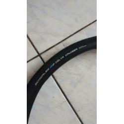 Nieuwe Schwalbe Delta Cruiser 28 inch.