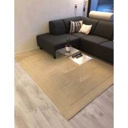 Mooi beige tapijt 160x230