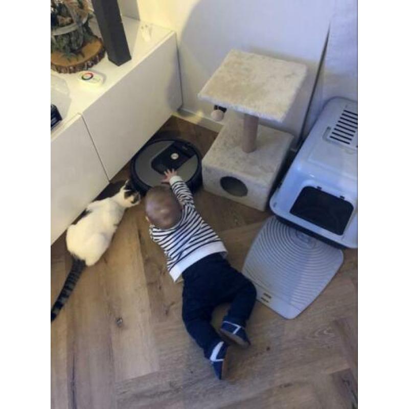 Lieve (katten) oppas gezocht