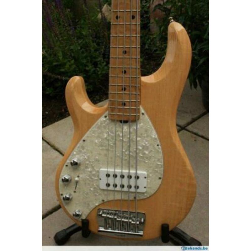 Musicman Stingray 5 sn.