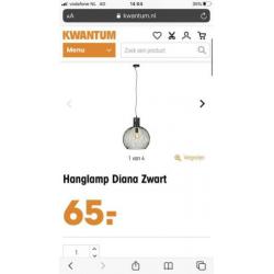 Hanglamp Diana draadstaal zwart incl. Lichtbron en stekker