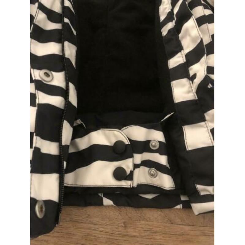 Molo Pearson mt 110 skijas zebra skien Mollo moolo