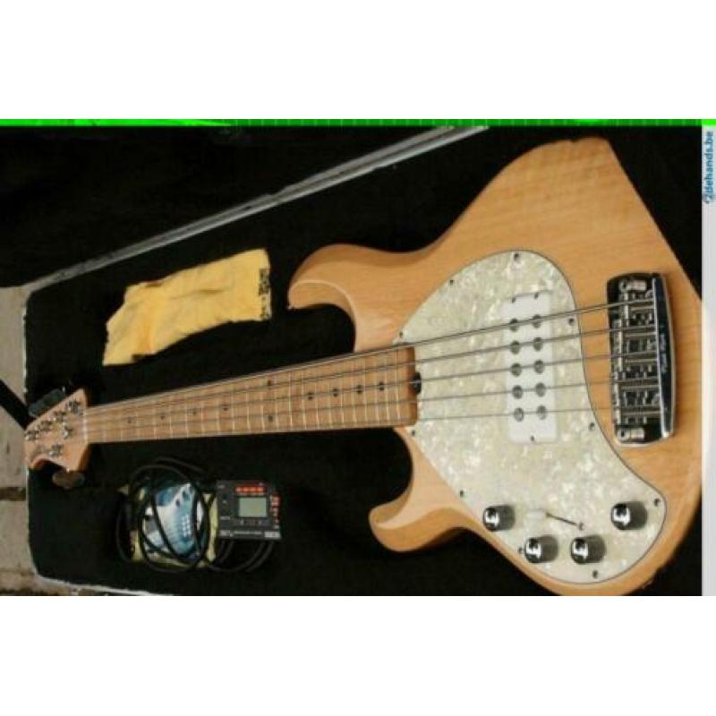 Musicman Stingray 5 sn.