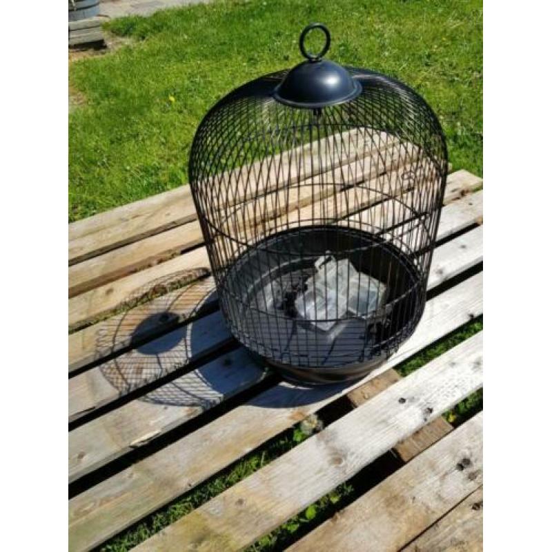 Vogel kooi kooien