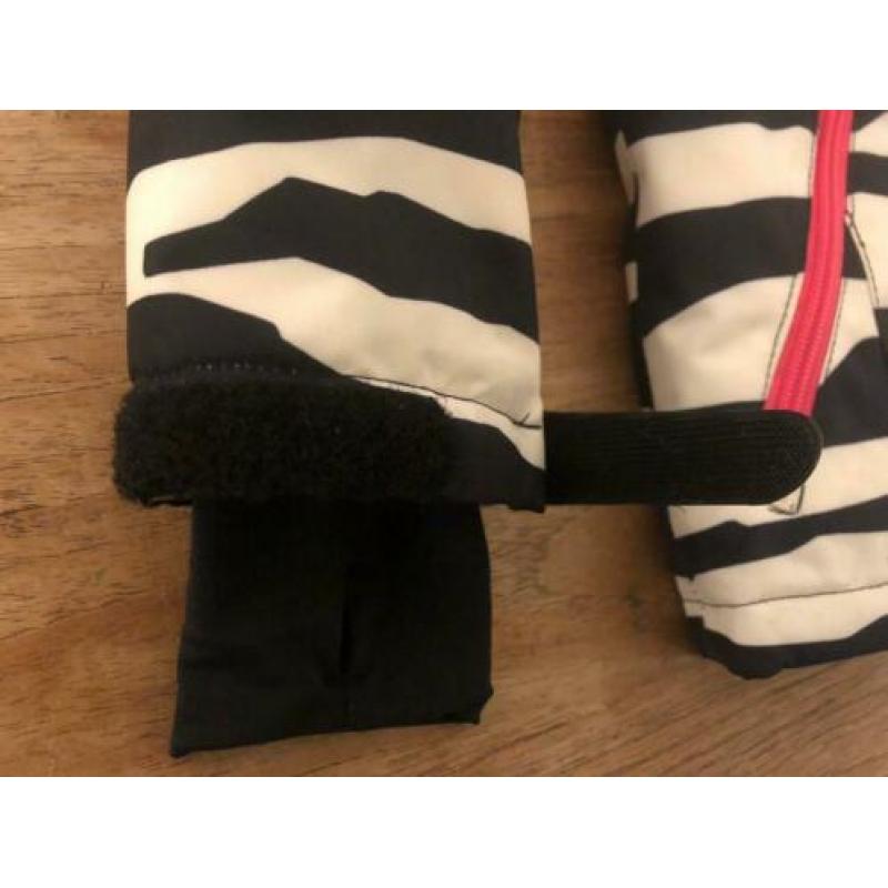 Molo Pearson mt 110 skijas zebra skien Mollo moolo