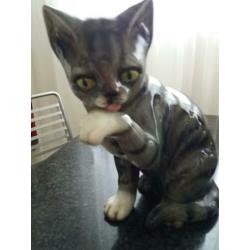 Te koop goebel poes
