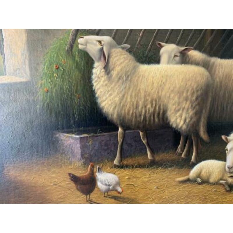 Schapen in de stal