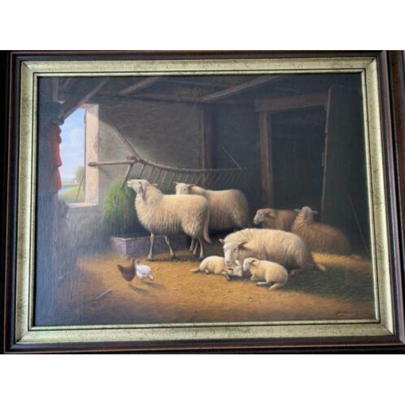 Schapen in de stal