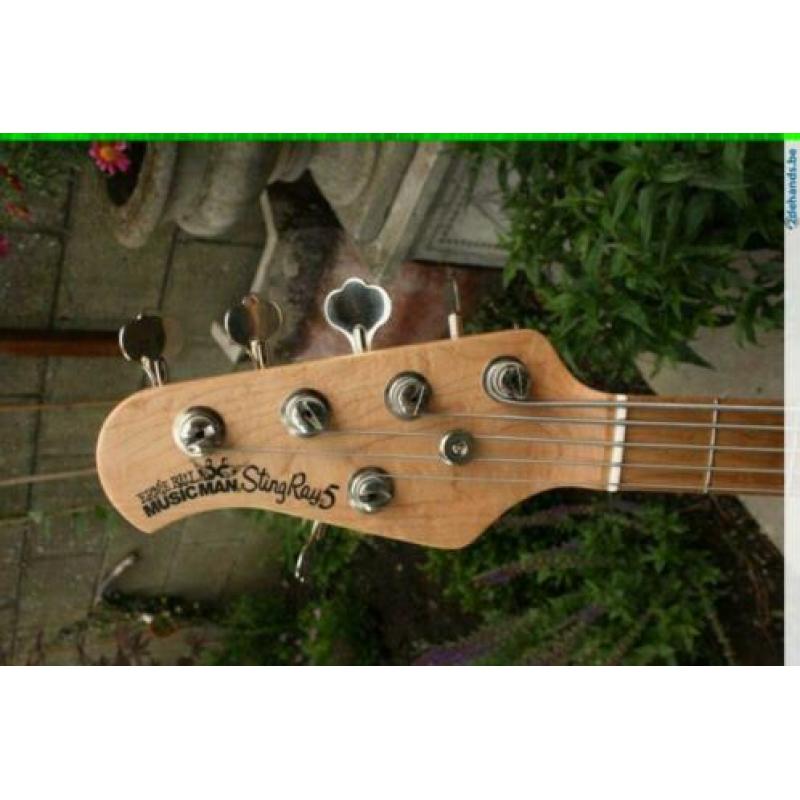Musicman Stingray 5 sn.