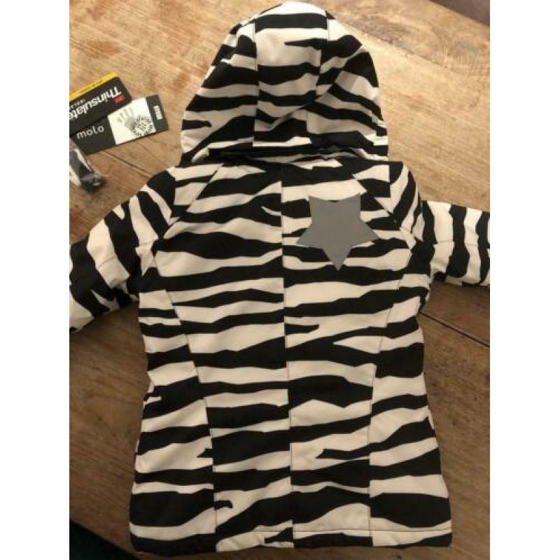 Molo Pearson mt 110 skijas zebra skien Mollo moolo