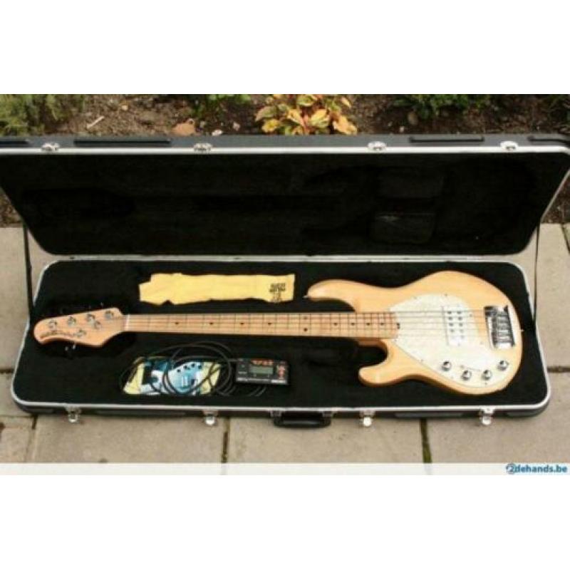 Musicman Stingray 5 sn.