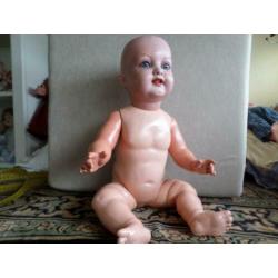 antieke pop Schildpad baby 50 cm