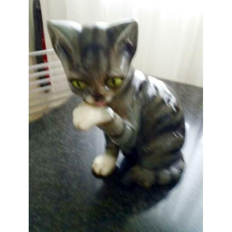 Te koop goebel poes
