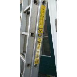 Ladder Zarger Favorit 2x12 treden alluminium