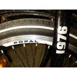 Popal meisjes fiets