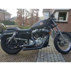 Harley Davidson sportster 1200