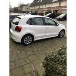 Volkswagen Polo 1.2 TDI 55KW BM Eind 2013 Wit