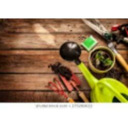 Assistent Hovenier Fulltime