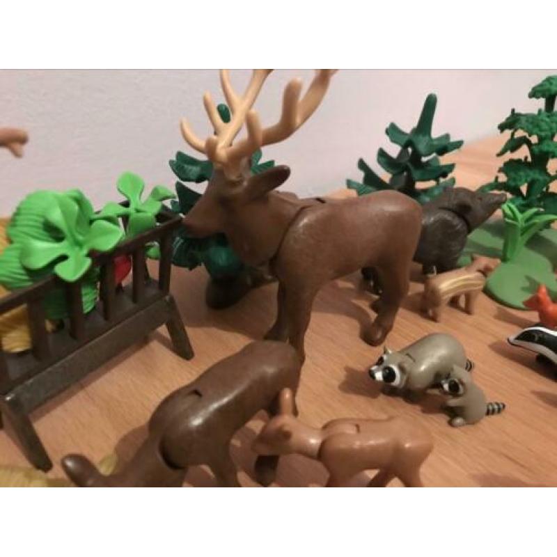 Playmobil bosdieren met poppetje
