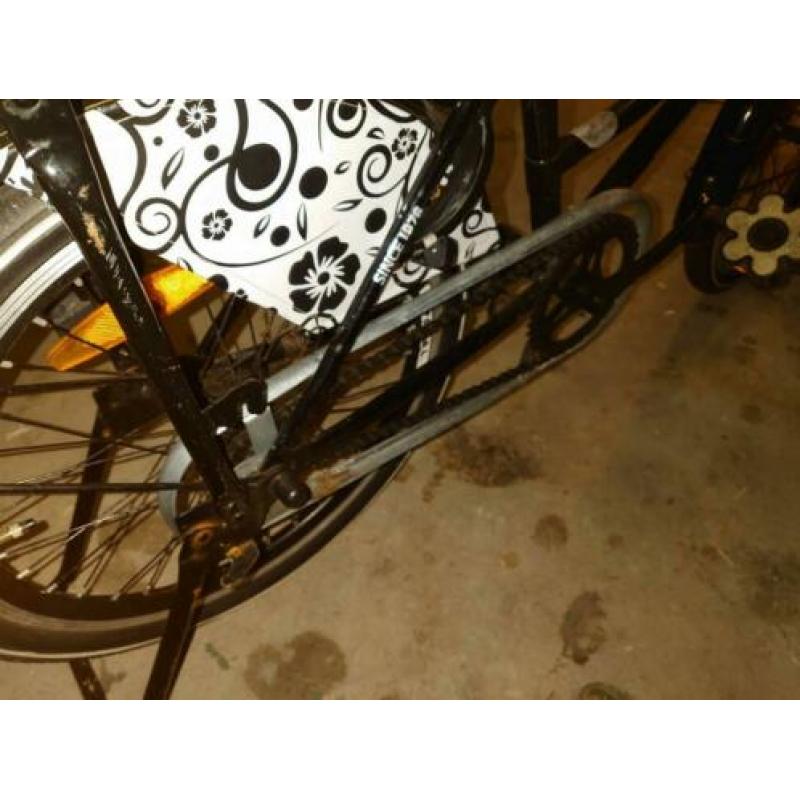 Popal meisjes fiets