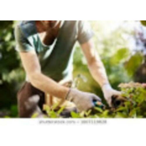 Assistent Hovenier Fulltime