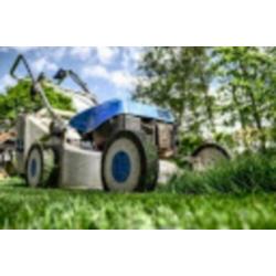 Assistent Hovenier Fulltime