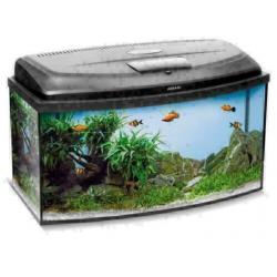 Betaalbaar aquarium, met hoog afwerkings nivo!