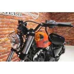 Harley-Davidson XL 1200 X Forty Eight Btw motor (bj 2020)
