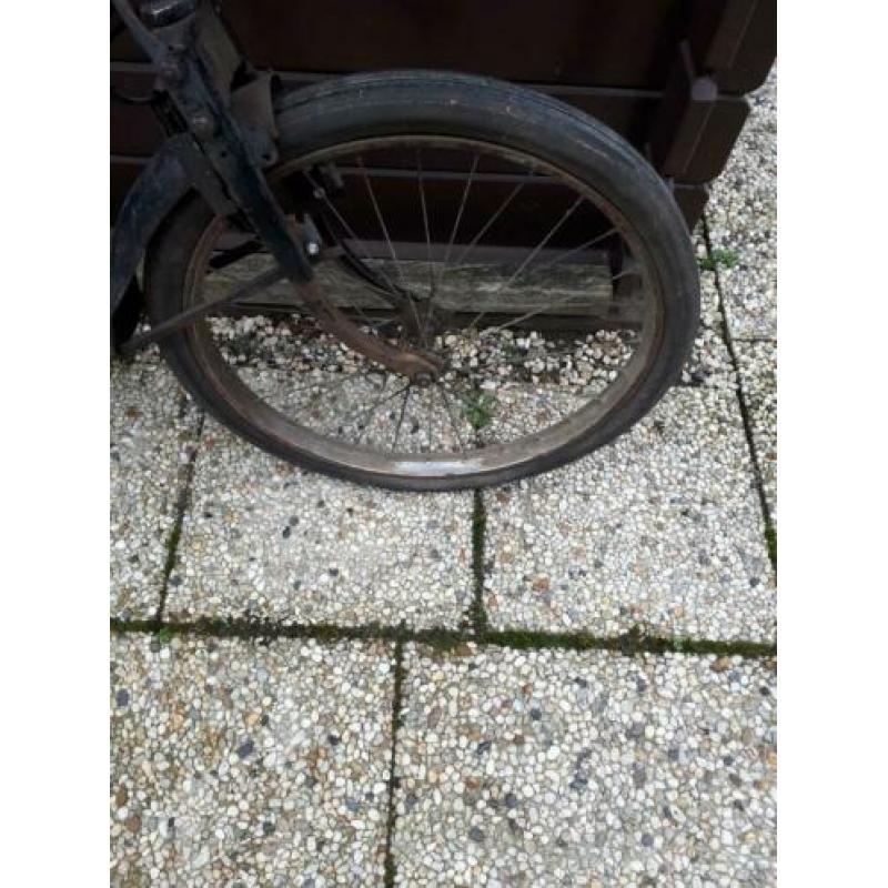 Solex Oto frame.