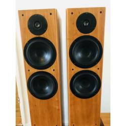 Tannoy revolution r3