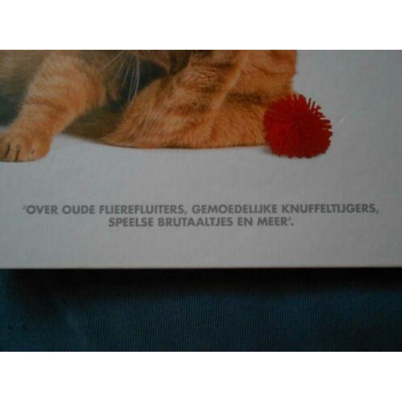 Katten en hun karakters