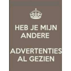 Wandbord Teddy Golfer 60 cm