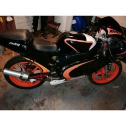aprillia