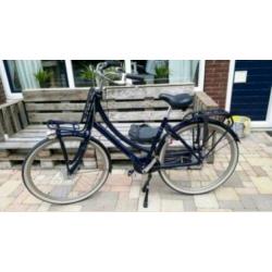 Cortina damesfiets U5 7V 53 inch