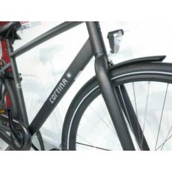 Cortina Common 61 cm nr 5538