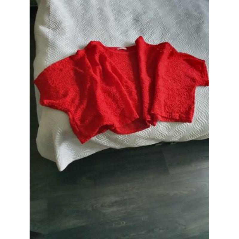 Rode en blauwe magna set