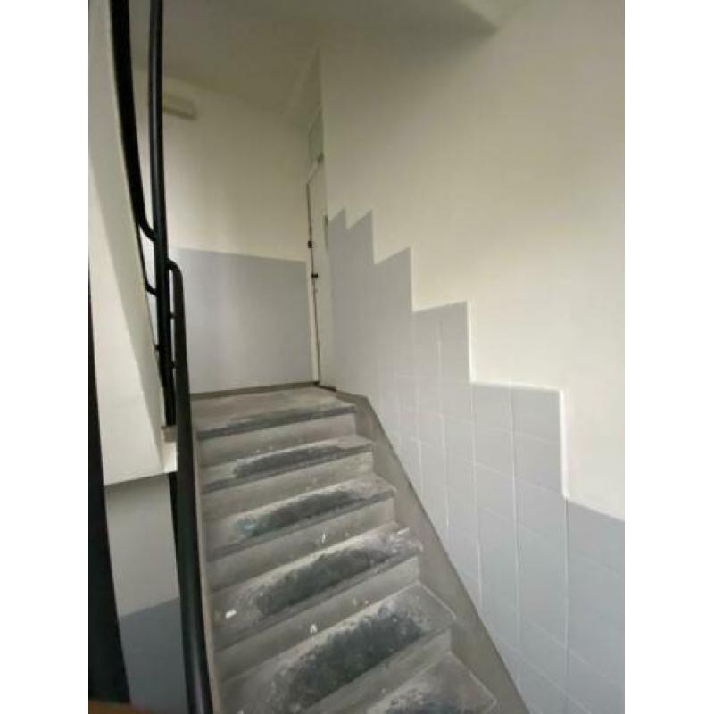 Prachtige appartement te huur Tapuitstraat