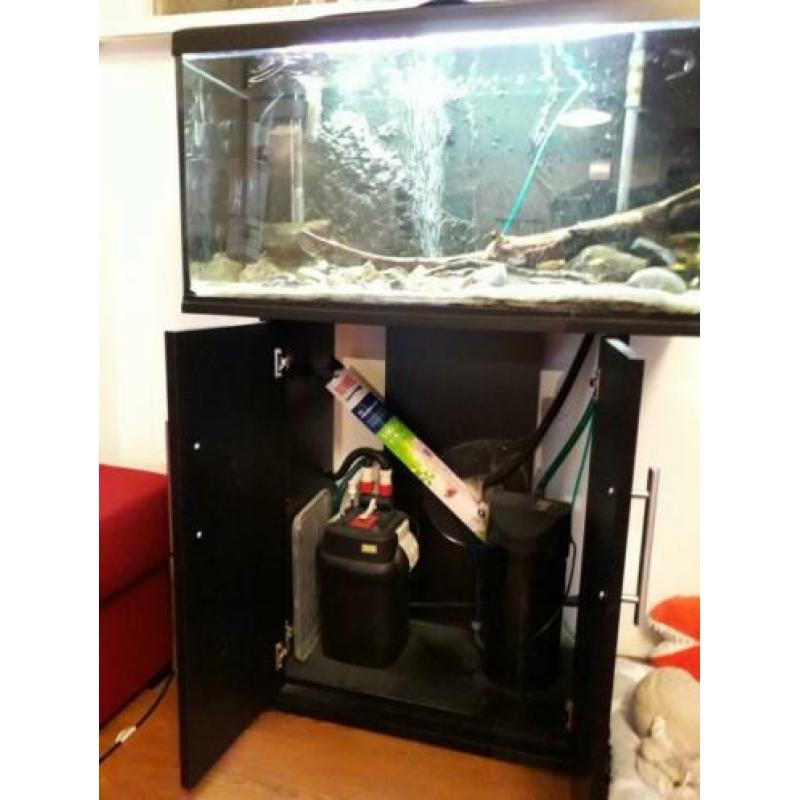 te koop een compleet aquarium Juwel 112 met kast