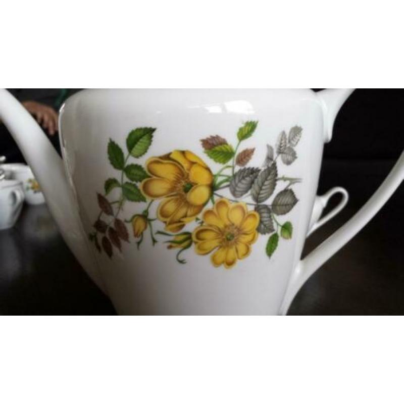 16 delig thee- en koffieservies