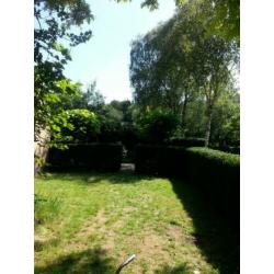 Tuin voorjaars klaar