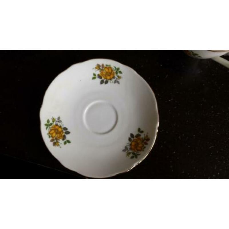 16 delig thee- en koffieservies