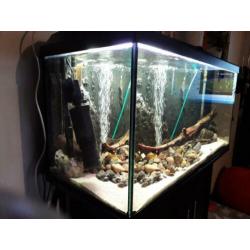 te koop een compleet aquarium Juwel 112 met kast