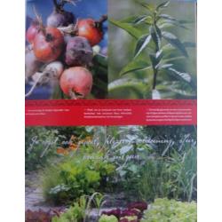 DE ONTDEKKING VAN DE TUIN * Leontine Trijber *