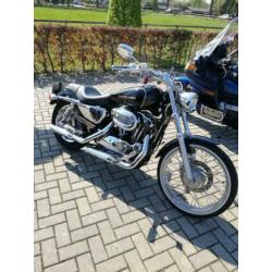 Harley Davidson Sportster XL 1200 2004 17K km - VOL OPTIE!
