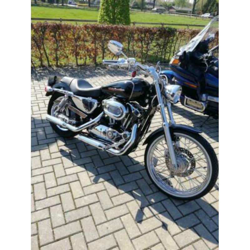 Harley Davidson Sportster XL 1200 2004 17K km - VOL OPTIE!