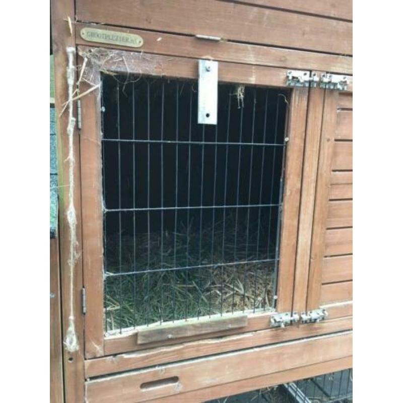 Groot konijnenhok te koop