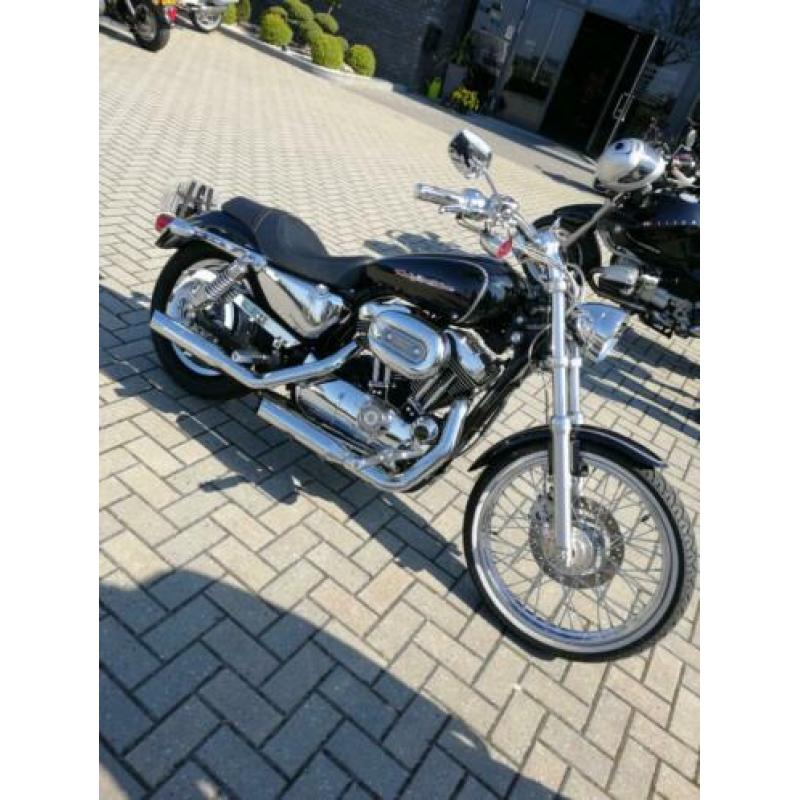 Harley Davidson Sportster XL 1200 2004 17K km - VOL OPTIE!