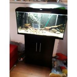 te koop een compleet aquarium Juwel 112 met kast