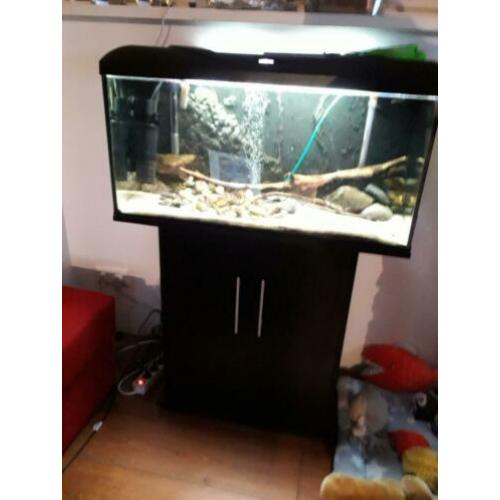 te koop een compleet aquarium Juwel 112 met kast